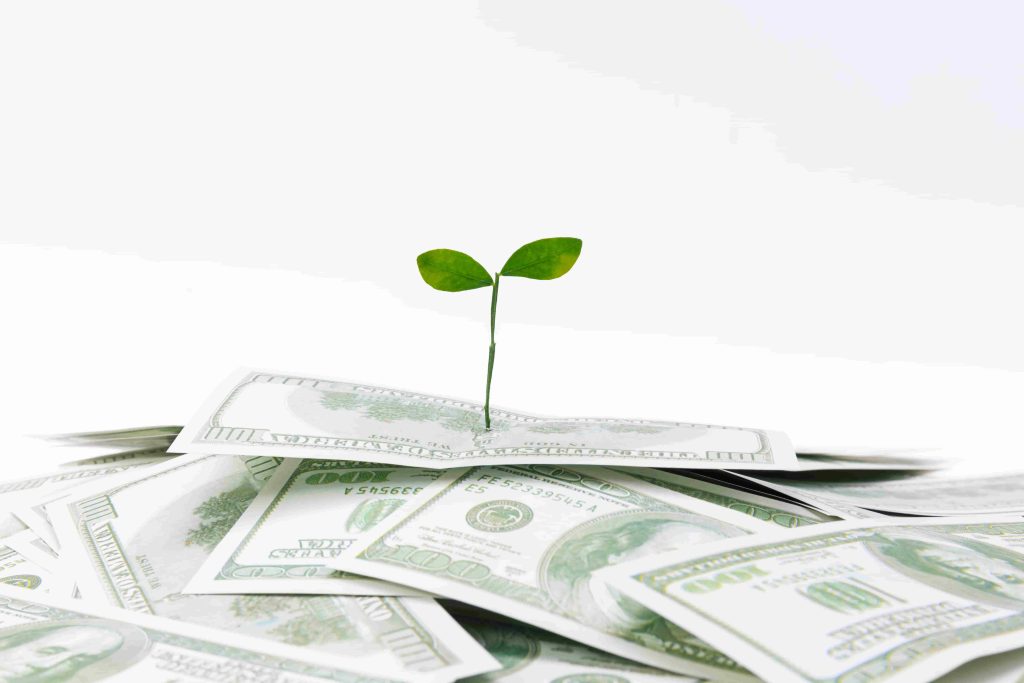 سرمایه‌گذار